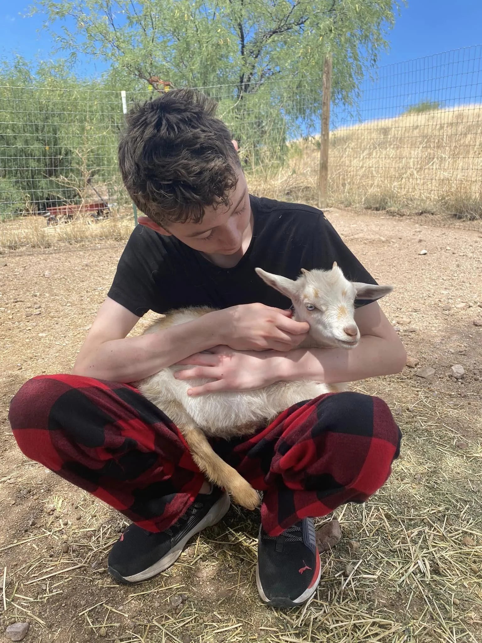 Farm Tours