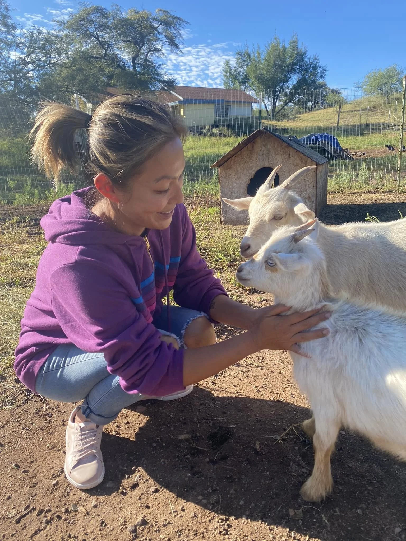 Farm Tours