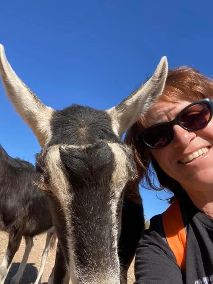 Hike with Goats