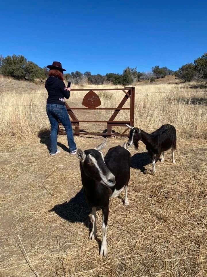 Hike with Goats