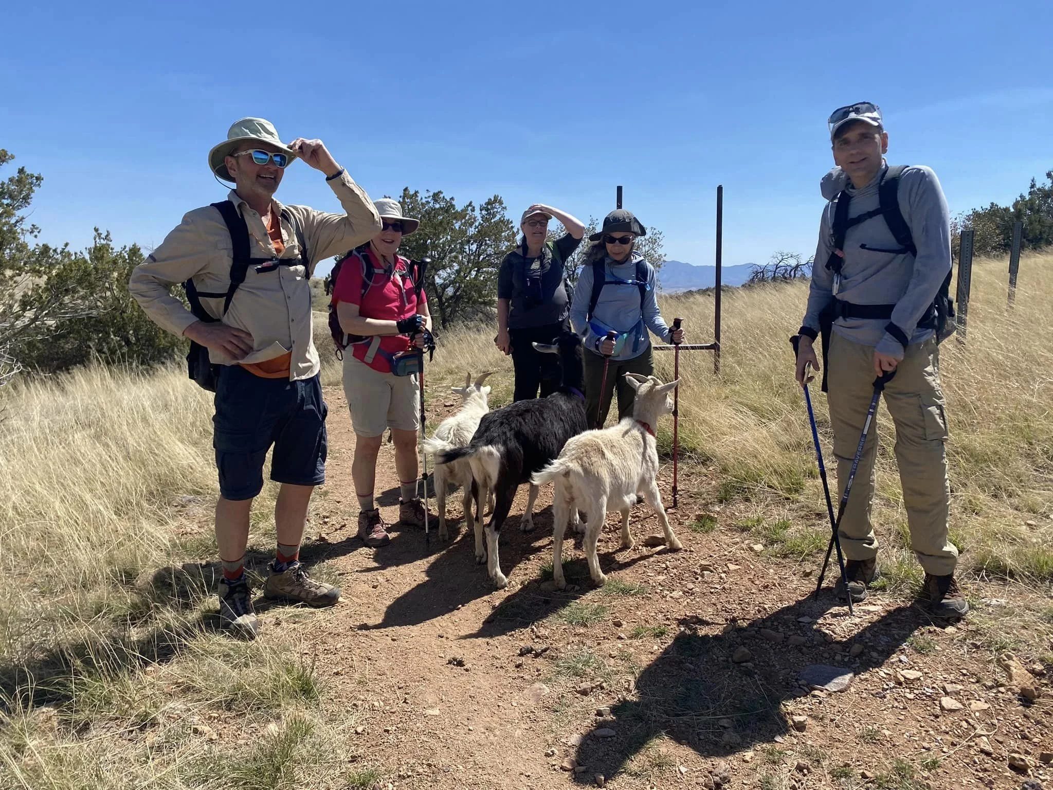 Hike with Goats